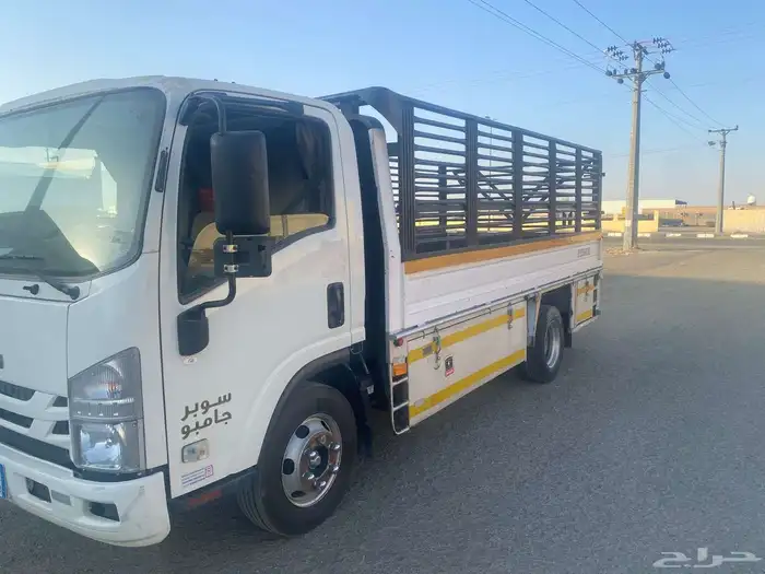 دينا موديل 2021 0