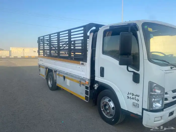 دينا موديل 2021 1