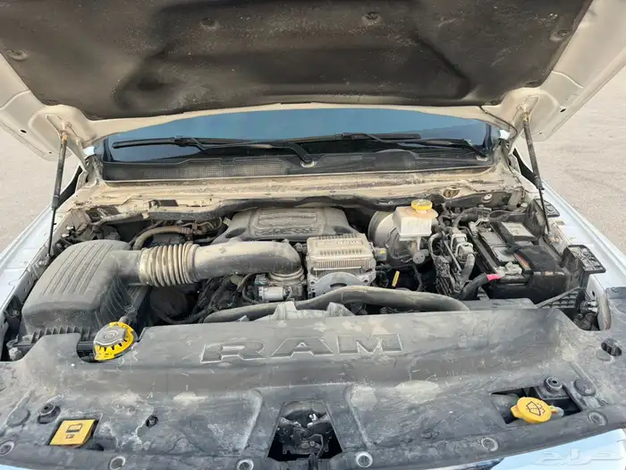 ونيت دوج رام غمارتين 8 سرندل 2024 7