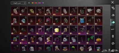 حساب ببجي index