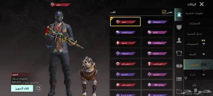 حساب ببجي 19