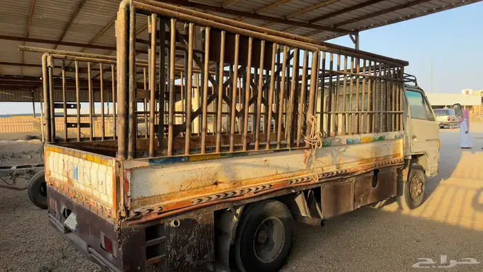 للبيع دينا ايسوزو 12