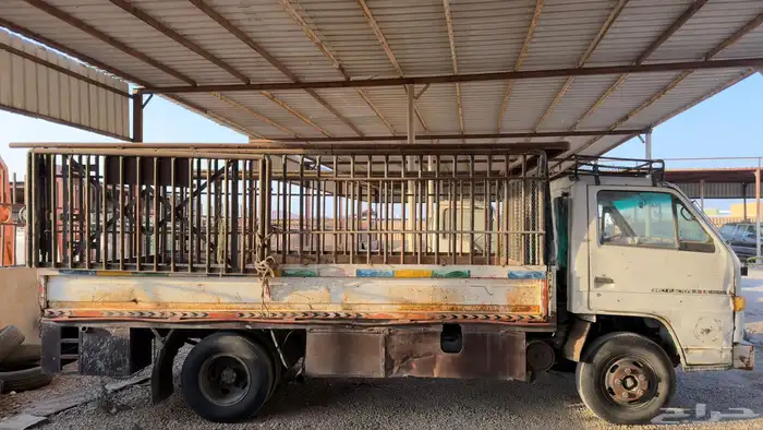 للبيع دينا ايسوزو 11