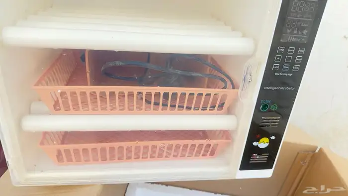 فقاسه 60 بيضه 1