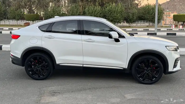 جلي توجيلا 2021 للتنازل Jelly Tugela 6