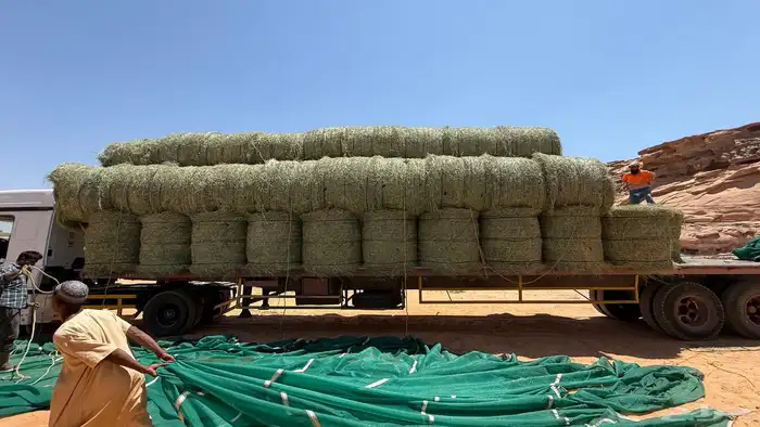 يوجد اعلاف رودس كبير 1