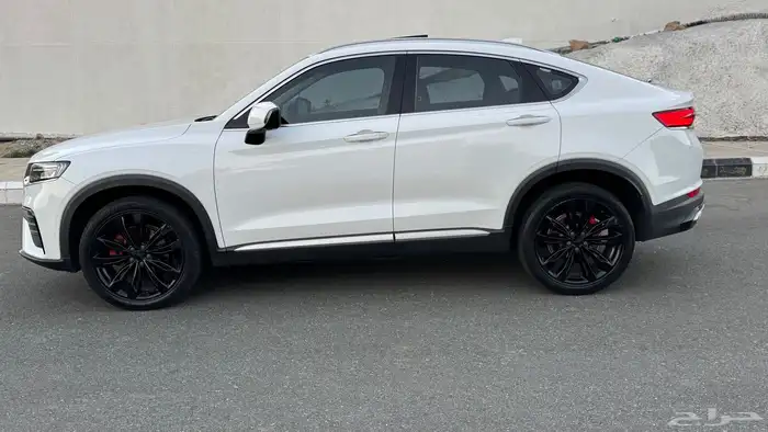 جلي توجيلا 2021 للتنازل Jelly Tugela 7