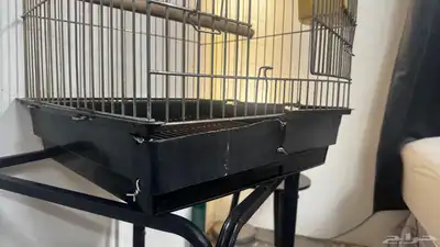 قفص ببغاء index