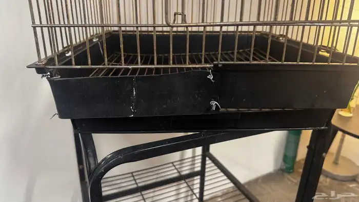 قفص ببغاء 3