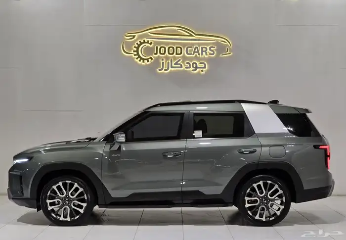 سانج يونج توريس موديل 2023 بحالة الوكالة 3