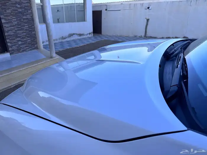 سكويا ( نص فل نظيف ) 25