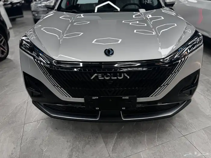 دونج فينج فل اوبشن 2026 1