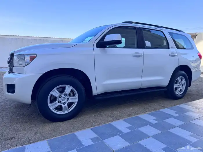 سكويا ( نص فل نظيف ) 9