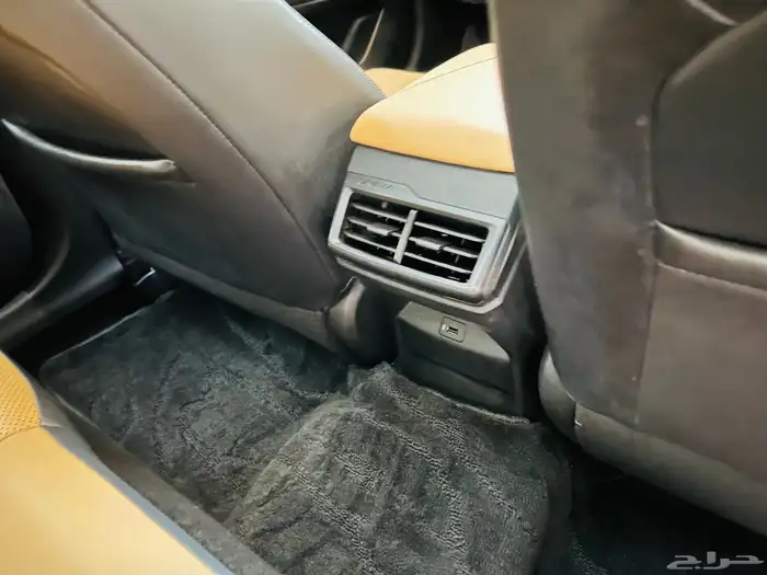 شانجان يوني في 2023 39