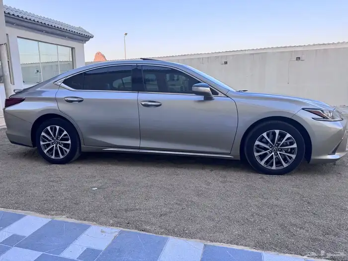 لكزز ( شبه الاصفار ) 0