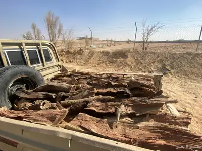 السلام عليكم للبيع صدندوق شاص يابس index