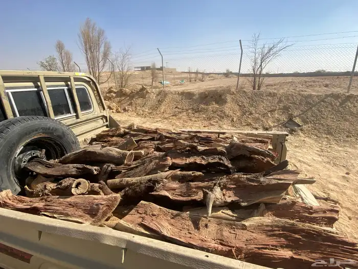 السلام عليكم للبيع صدندوق شاص يابس 1