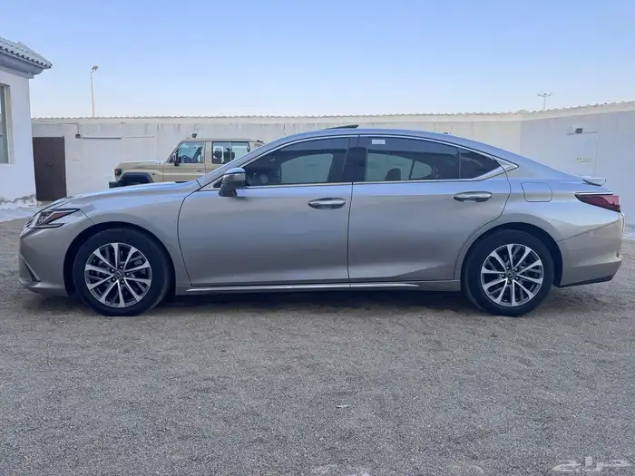 لكزز ( شبه الاصفار ) 20