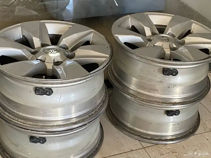 جنوط برادو 1