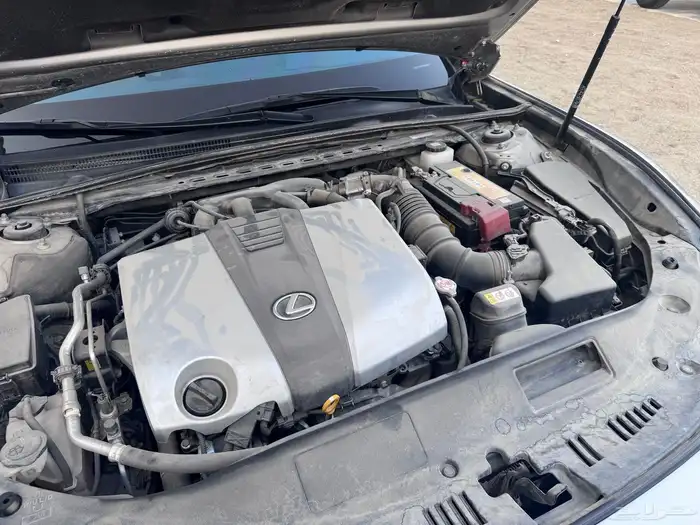 لكزز ( شبه الاصفار ) 44