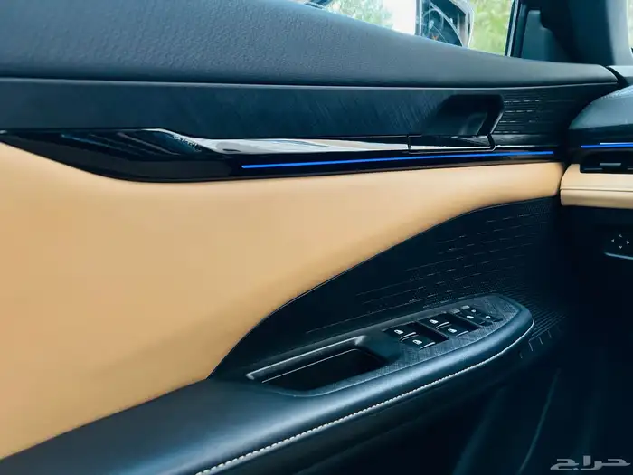 شانجان يوني في 2023 25