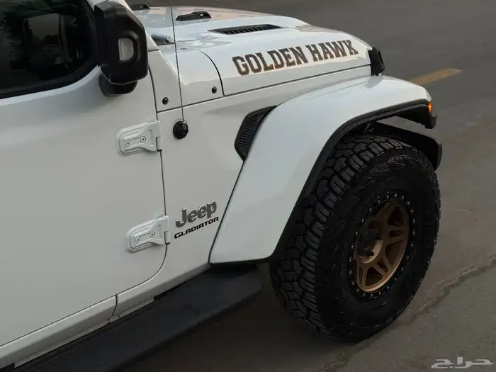 جلاديتور 2021 ممشاه قليل وقمة بالنظافة 2