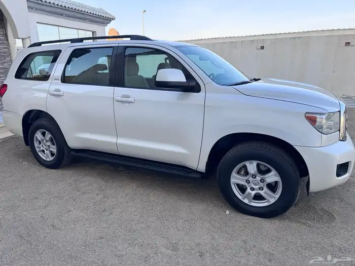 سكويا ( نص فل نظيف ) 50