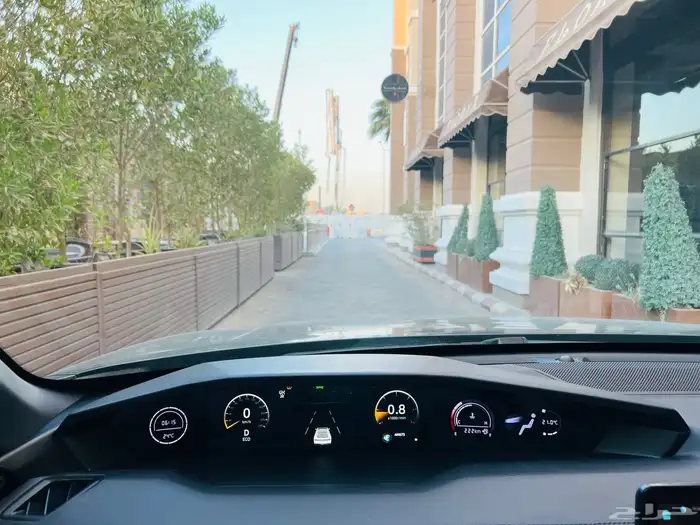 شانجان يوني في 2023 40