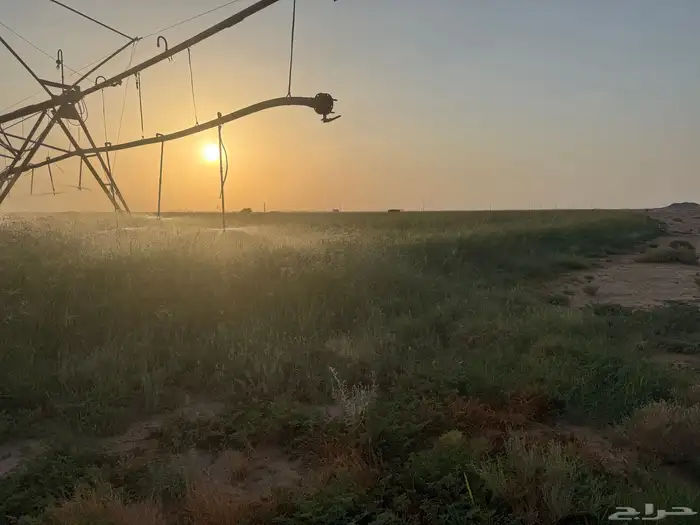 رشاش كهرب ما كفوا أرض كفوا ما حلو ودفن الموقع وادي الدواسر 0