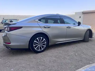 لكزز ( شبه الاصفار ) index