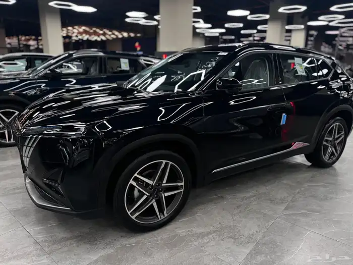 دونج فينج فل اوبشن 2026 3