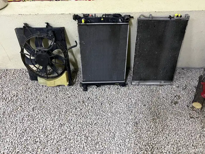 رديتر اكسنت 2023 1