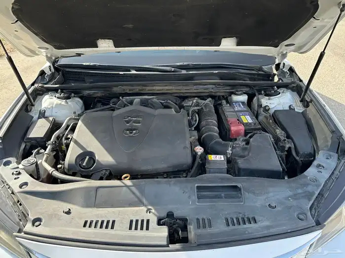 افالون 2019 25