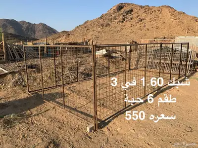 شبوك غنم index