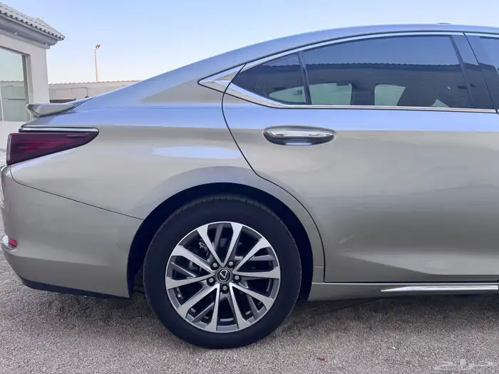 لكزز ( شبه الاصفار ) 5