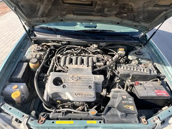 مكسيما 2004 12