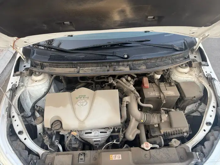 يارس 9 1 0 2 وردة 24