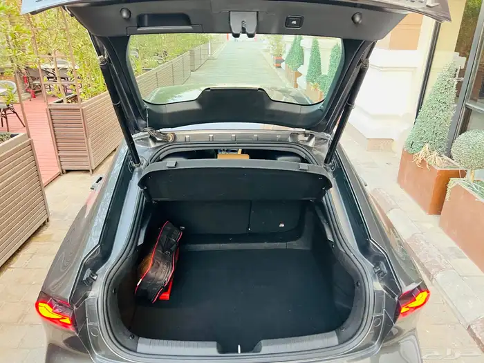 شانجان يوني في 2023 16