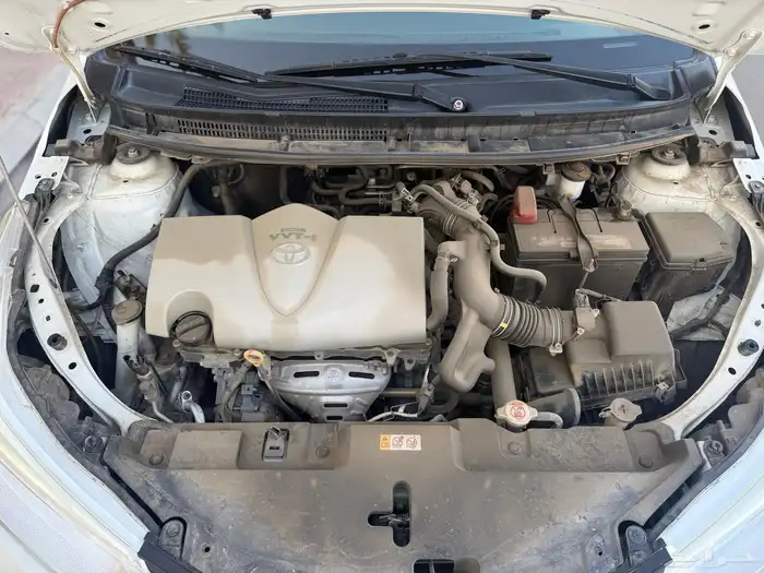 يارس 9 1 0 2 وردة 19