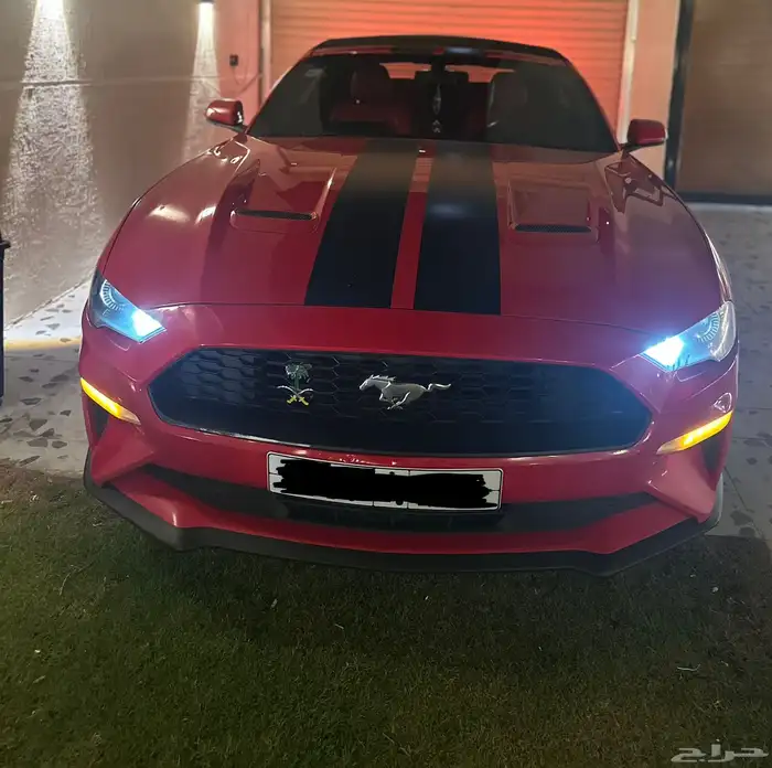 موستنق 2018 كشف 2