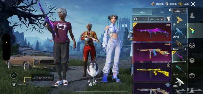 حساب ببجي للبيع التسليم يد بيد ف الباحه 53