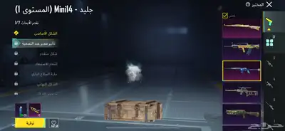 حساب ببجي ثلجي ماكس و كونكر 17 index