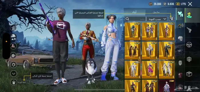 حساب ببجي للبيع التسليم يد بيد ف الباحه 40