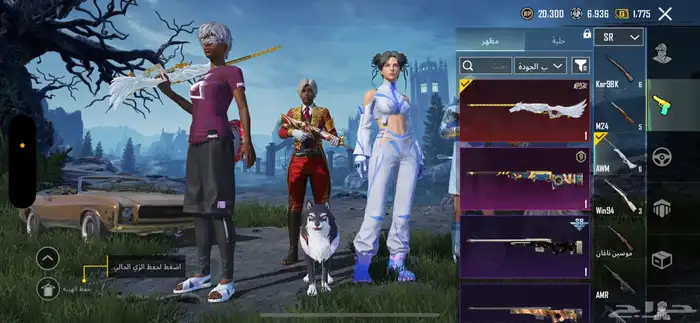 حساب ببجي للبيع التسليم يد بيد ف الباحه 54