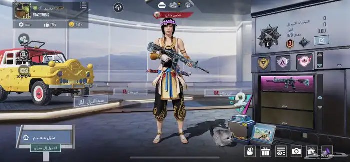 حساب ببجي امفور ثلجي 17