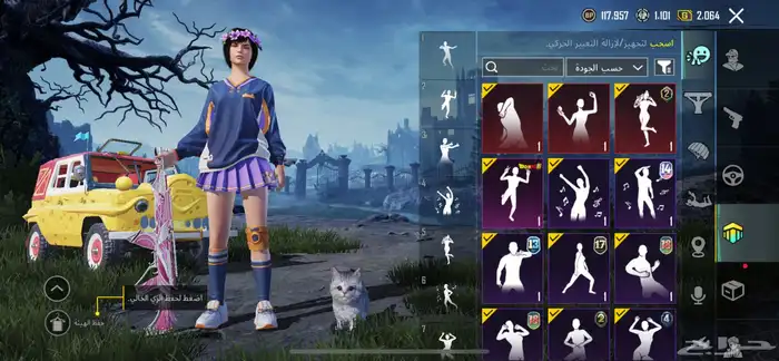 حساب ببجي امفور ثلجي 14