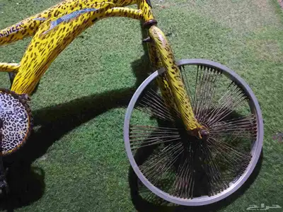 سيكل كوبرا index