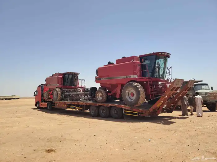 لوبد متواجد طبرجل 2