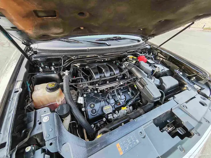 فلكس 2013 بودي وكالة ممشى قليل 18