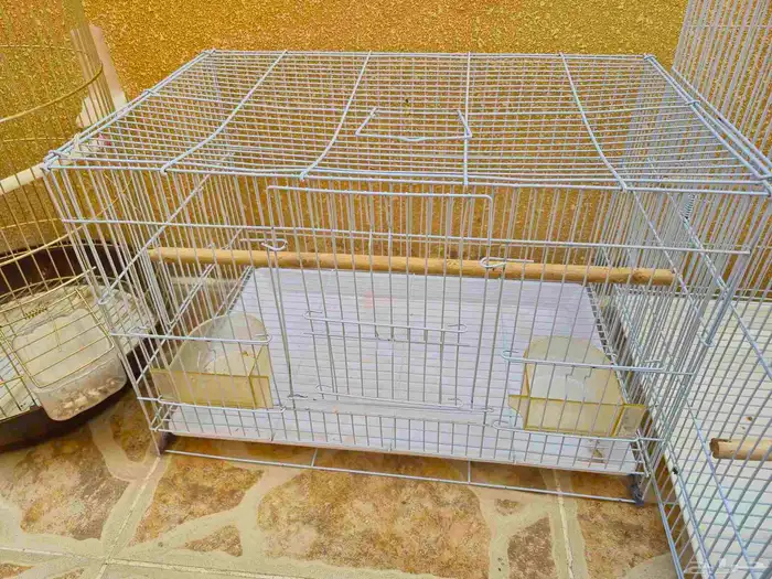 اقفاص طيور 2